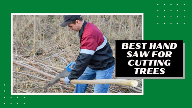 best hand saw for cutting down trees