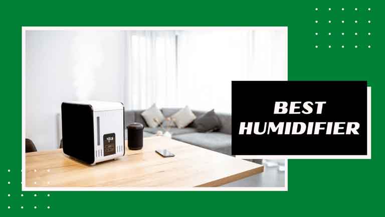 best humidifier for 1000 square feet