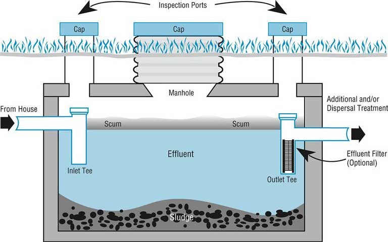 best septic tank treatment