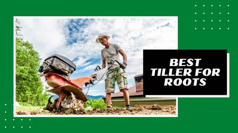 best tiller for roots review