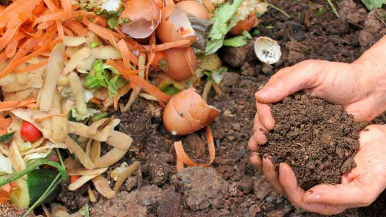 compost ready to go garden from a continuous composter