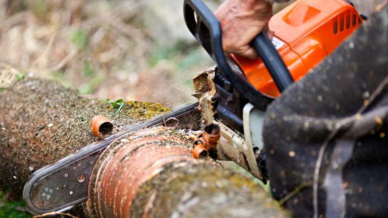 who makes the best chainsaw in the world