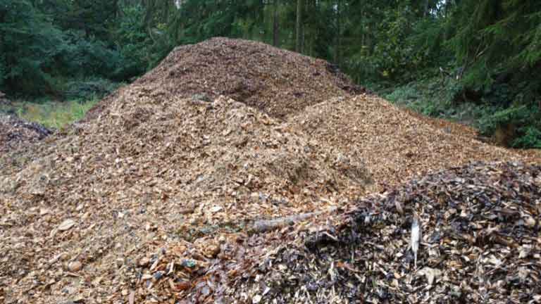 wood-chip-on-compost-pile